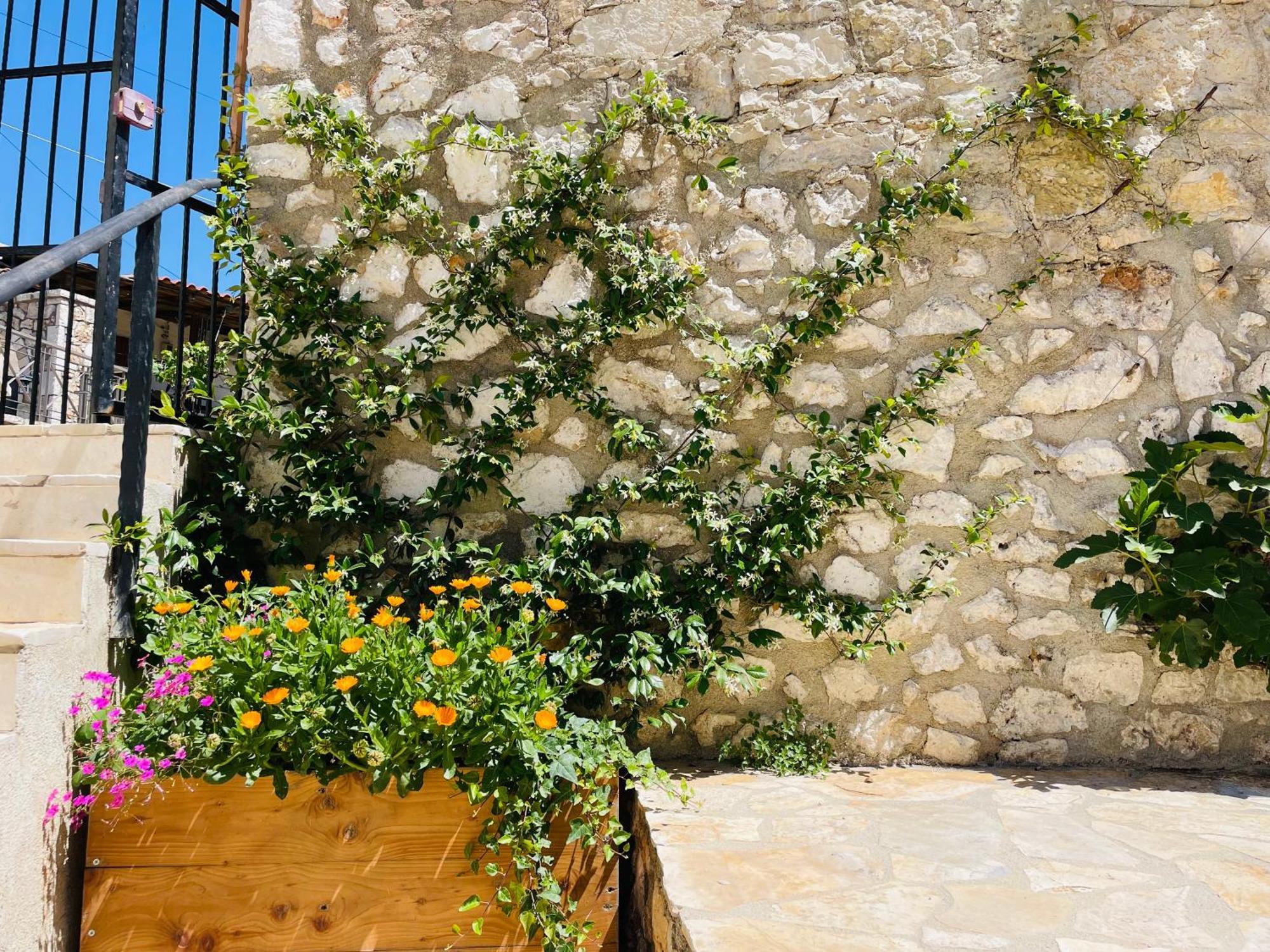Guesthouse Near The Castle Of Himare Exteriör bild