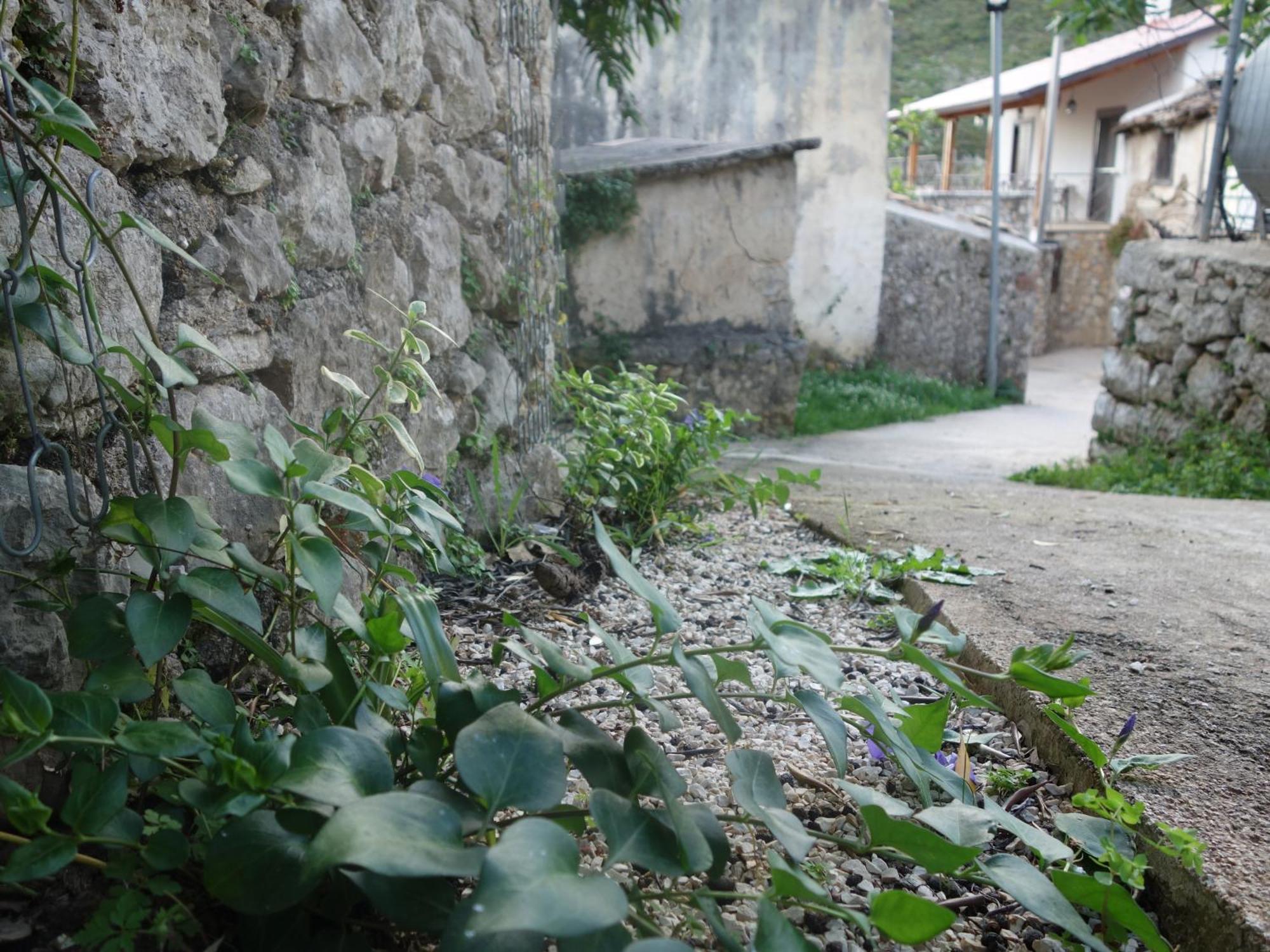 Guesthouse Near The Castle Of Himare Exteriör bild